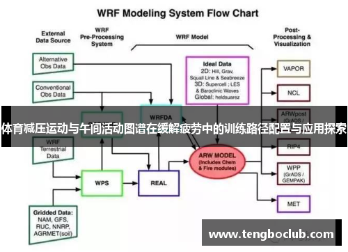 体育减压运动与午间活动图谱在缓解疲劳中的训练路径配置与应用探索
